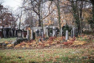 grave death step father inheritance claim solicitors