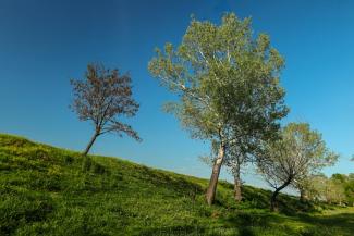 countryside right to roam trespass solicitors