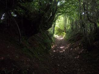 footpath right of way challenge solicitor