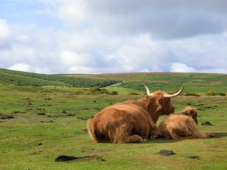 Devon agricultural land purchase solicitors lawyers