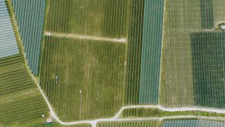 fields land adverse possession squatters rights application lawyer